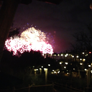 白鹿狂揉下部❌️❌️
